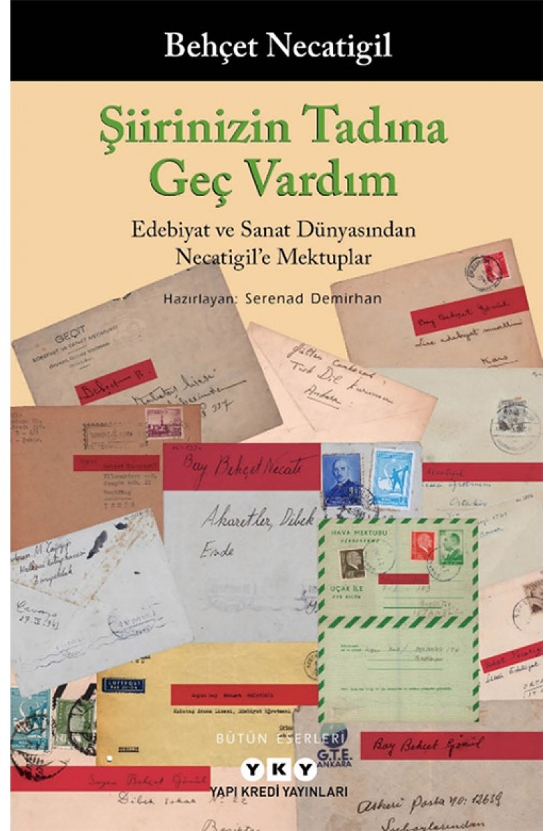 Şiirinizin Tadına Geç Vardım - Edebiyat ve Sanat Dünyasından Necatigil’e Mektuplar