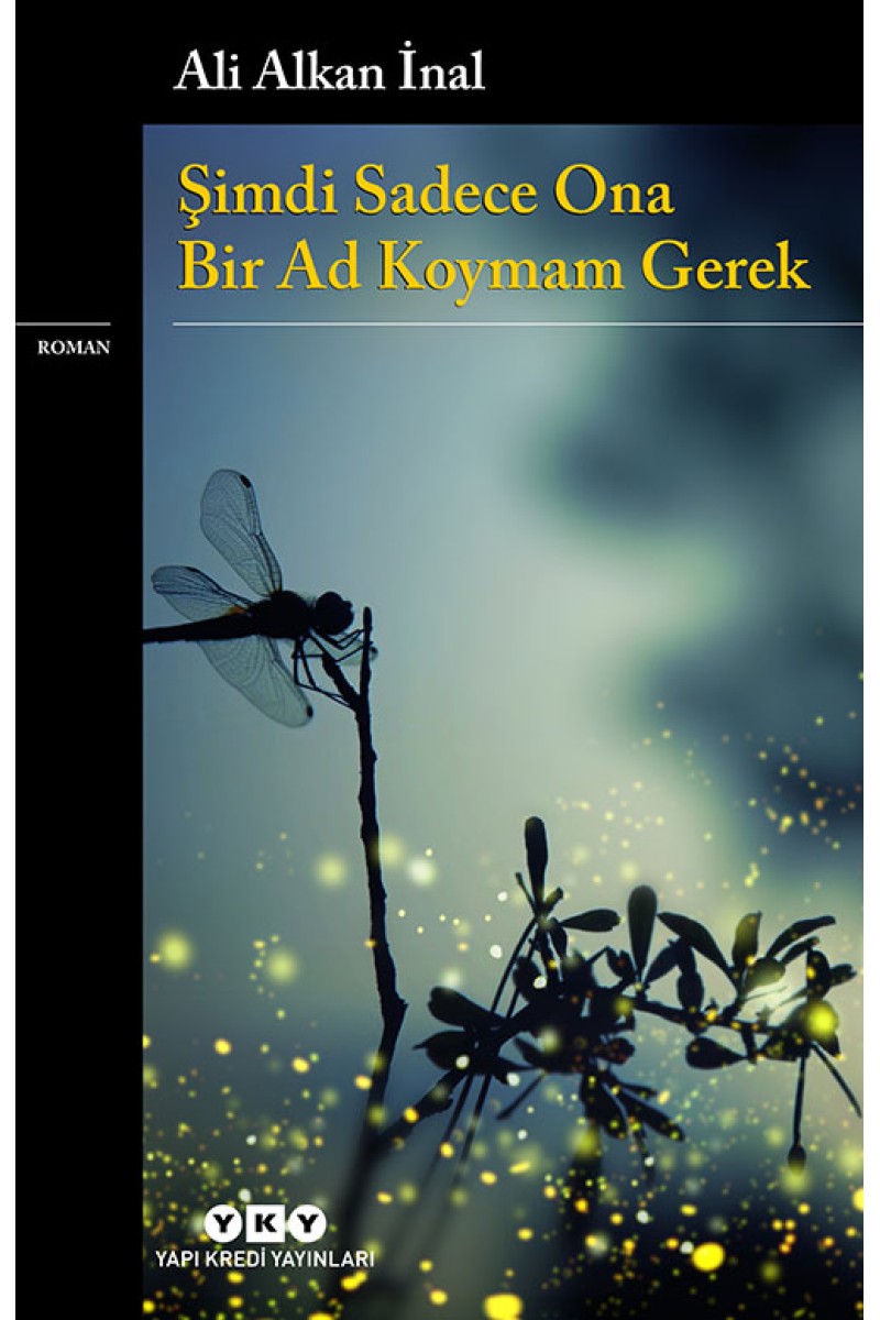 Şimdi Sadece Ona Bir Ad Koymam Gerek
