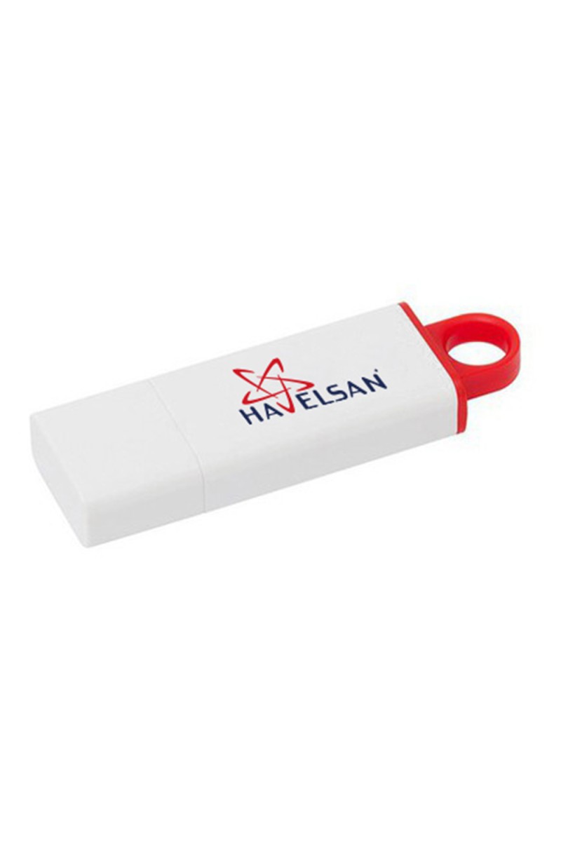 MENGÜCEKLİLER PLASTİK USB BELLEK (16 GB)