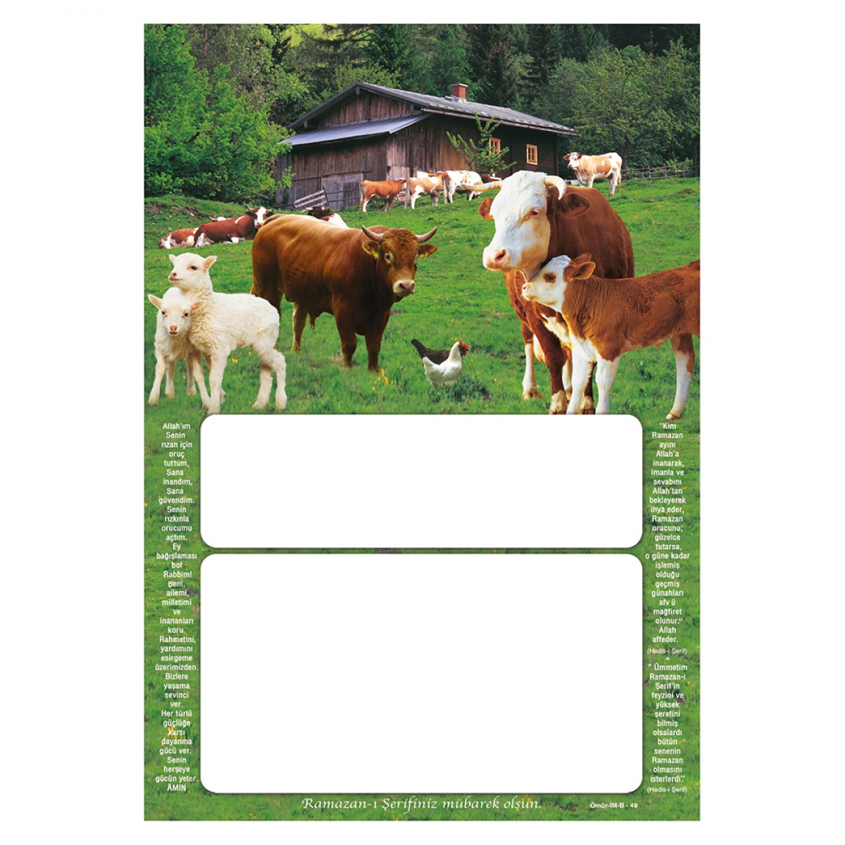 İM49 DÜZ İMSAKİYE KARTONU