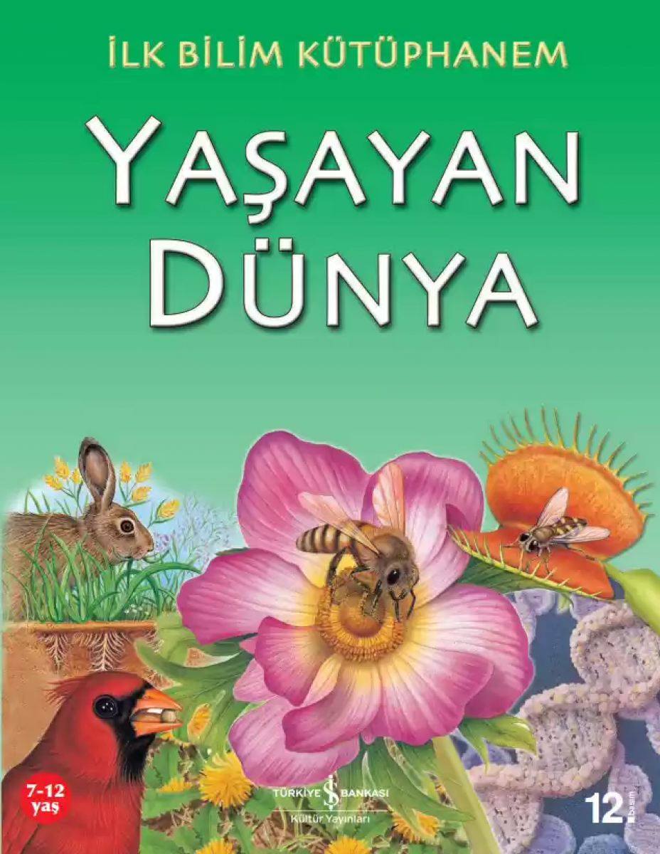 İlk Bilim Kütüphanem - Yaşayan Dünya