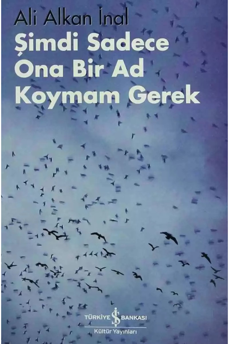 Şimdi Sadece Ona Bir Ad Koymam Gerek