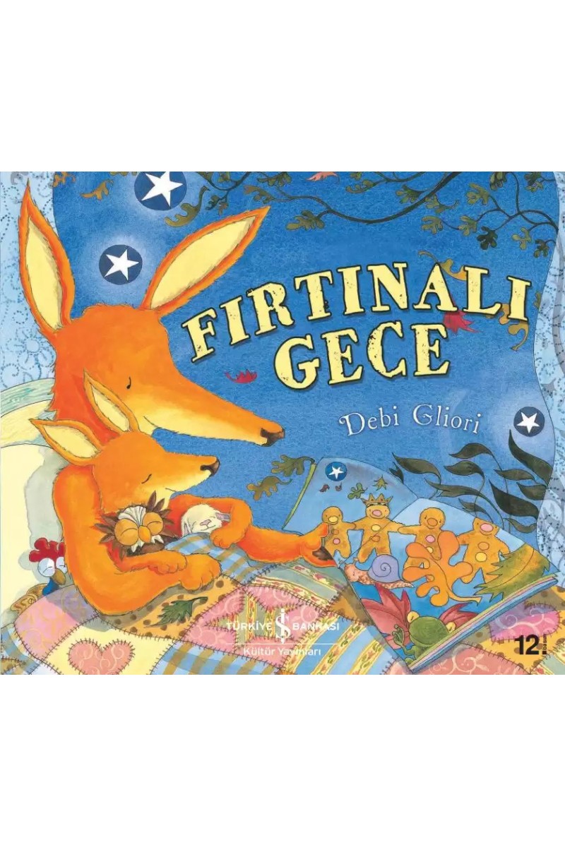 Fırtınalı Gece