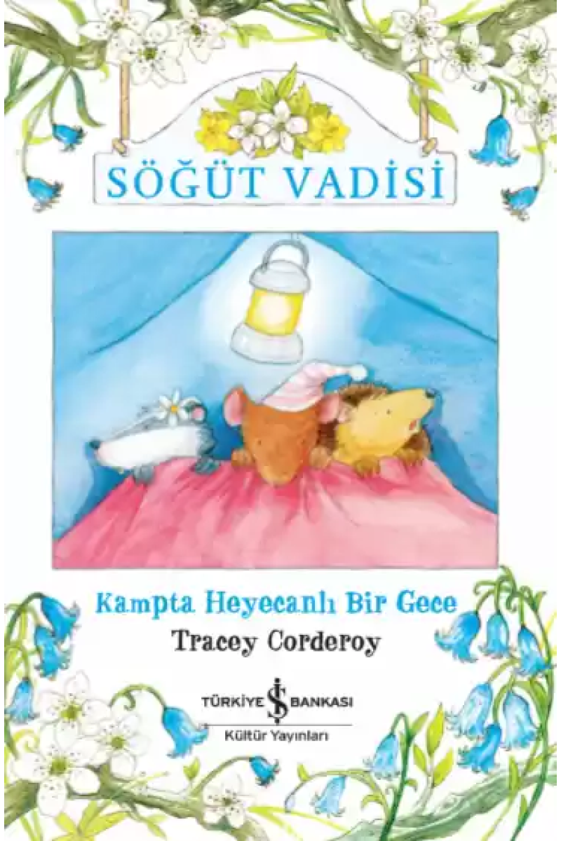 Söğüt Vadisi - Kampta Heyecanlı Bir Gece