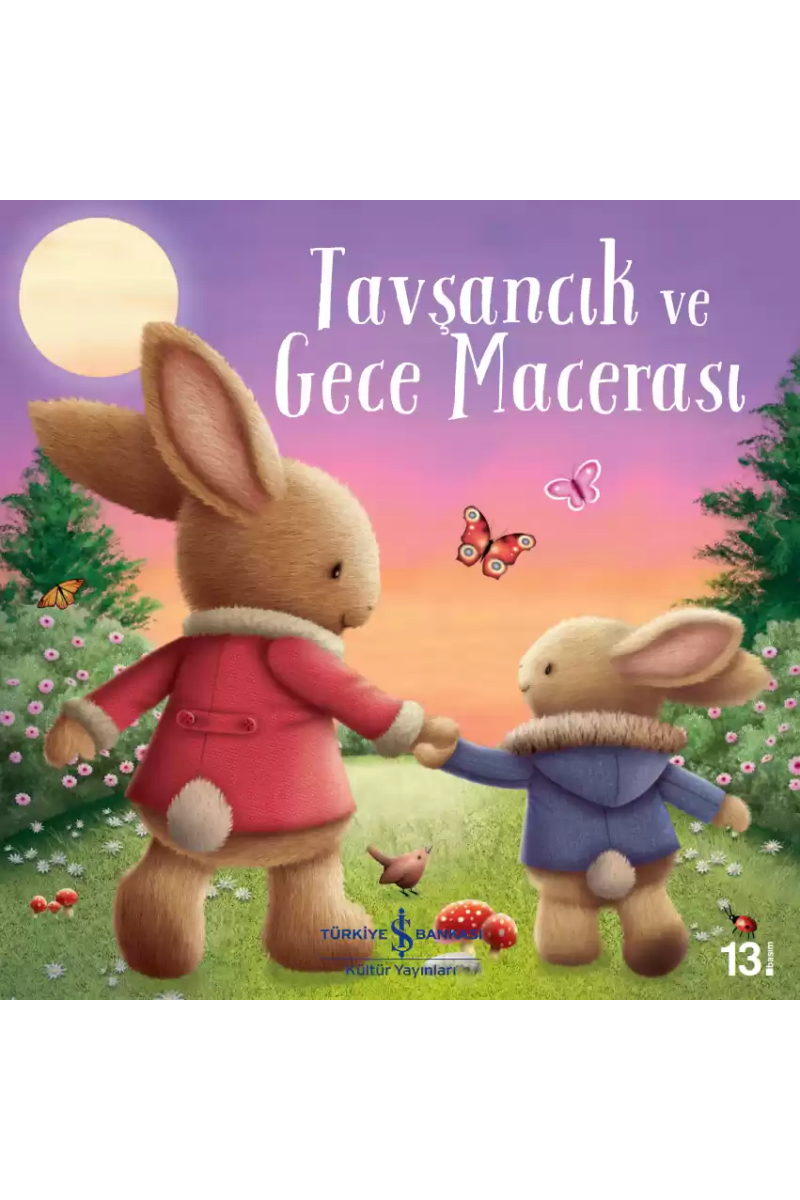 Tavşancık ve Gece Macerası