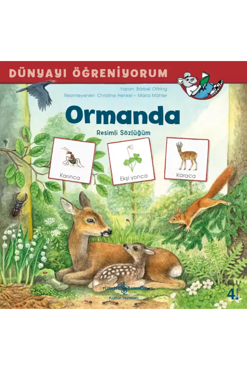 Dünyayı Öğreniyorum Ormanda Resimli Sözlüğüm