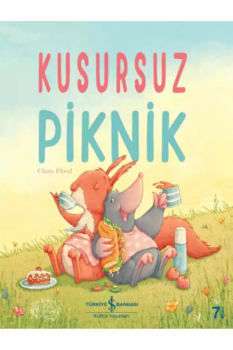 Kusursuz Piknik