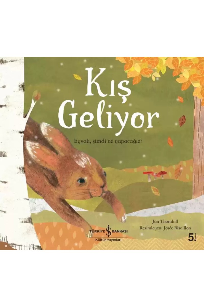 Kış Geliyor