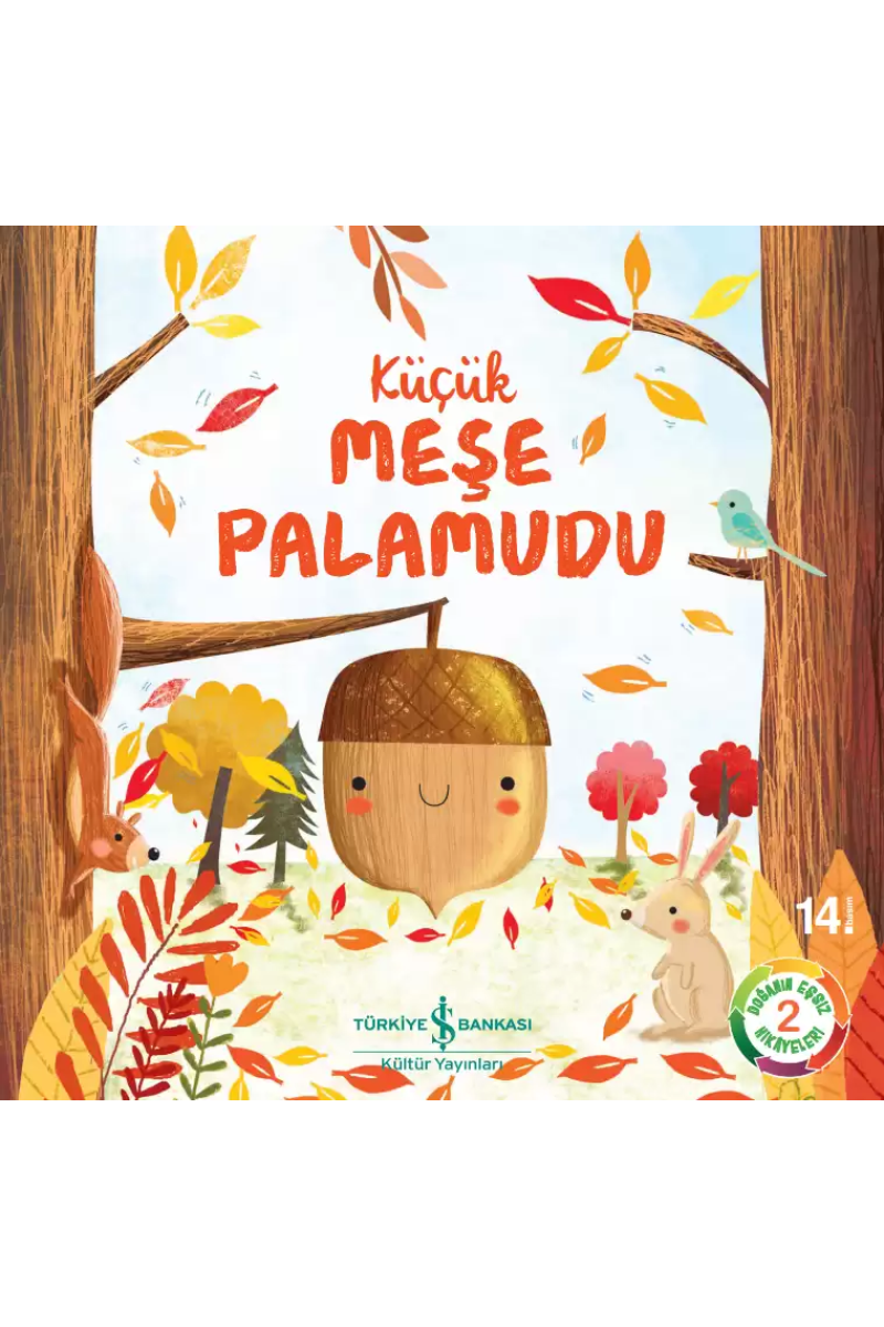 Küçük Meşe Palamudu - Doğanın Eşsiz Hikâyeleri 2