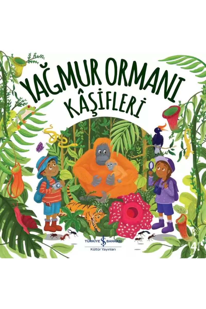 Yağmur Ormanı Kâşifleri