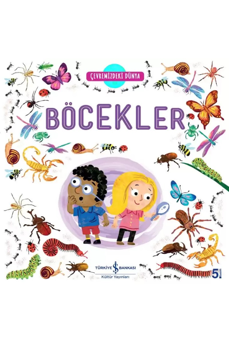 Çevremizdeki Dünya Böcekler