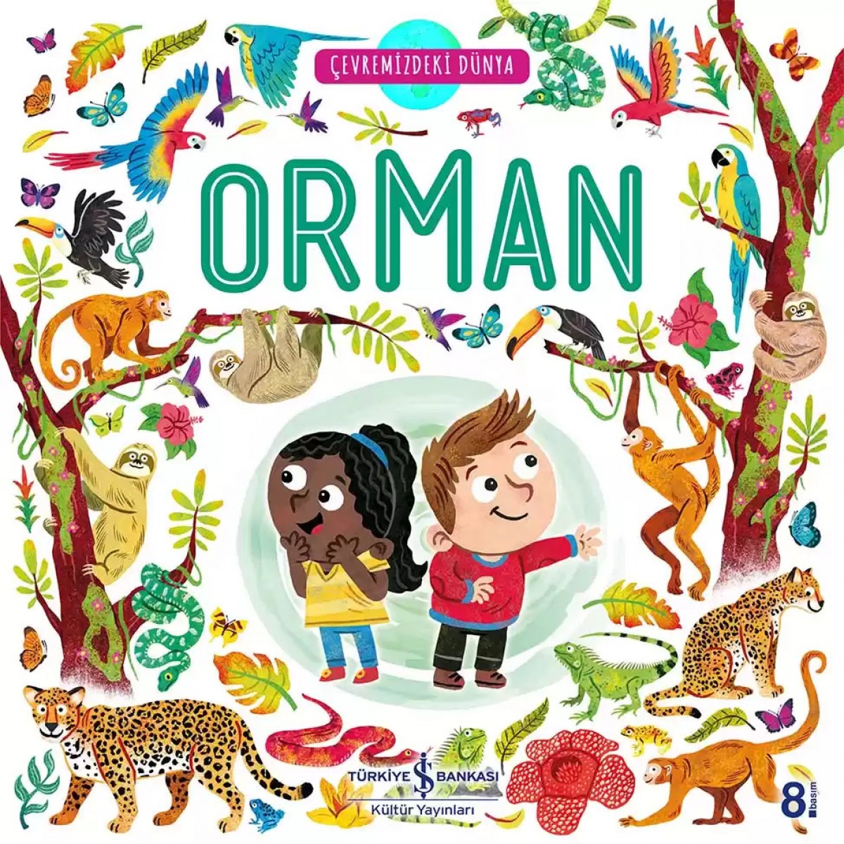 Çevremizdeki Dünya Orman