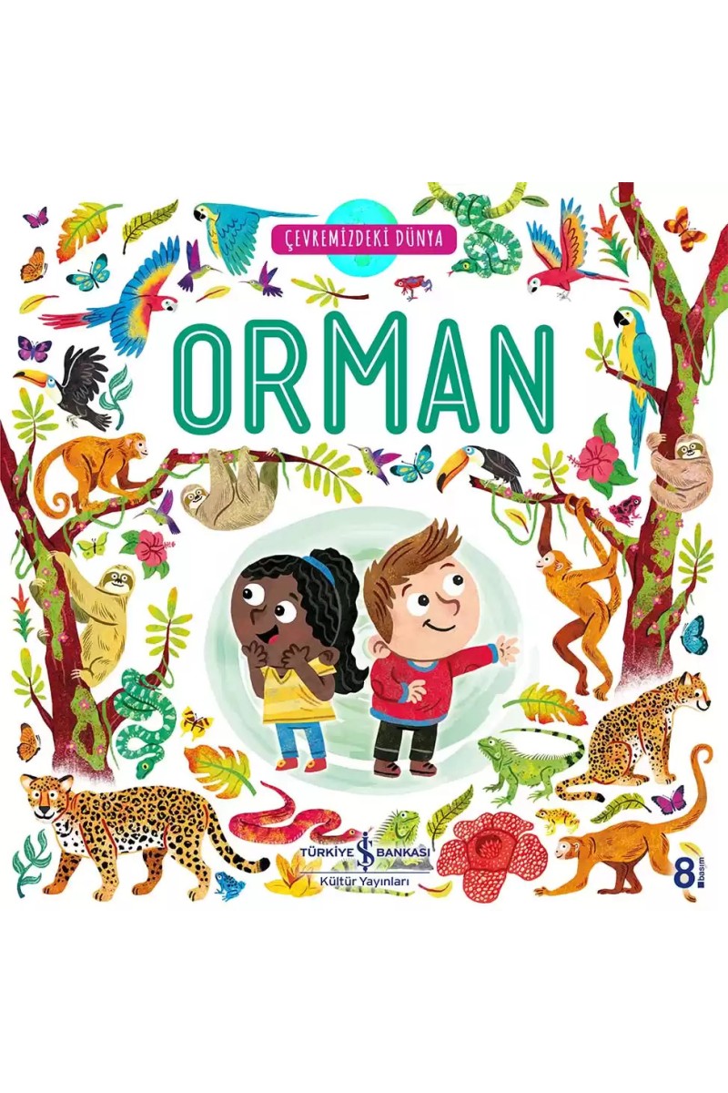 Çevremizdeki Dünya Orman