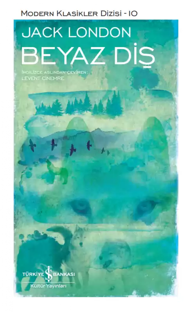 Beyaz Diş - Sert Kapak