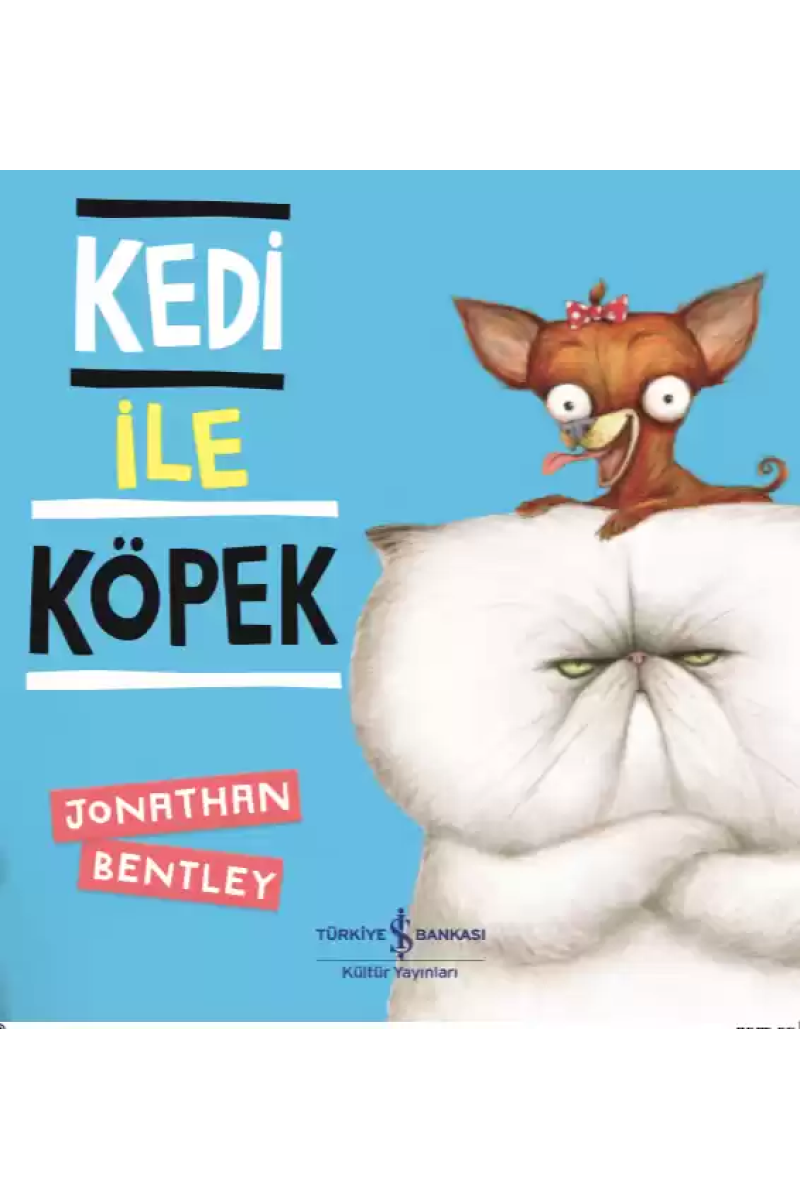 Kedi ile Köpek