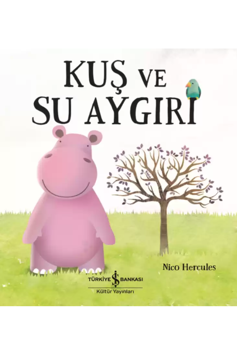 Kuş Ve Su Aygırı