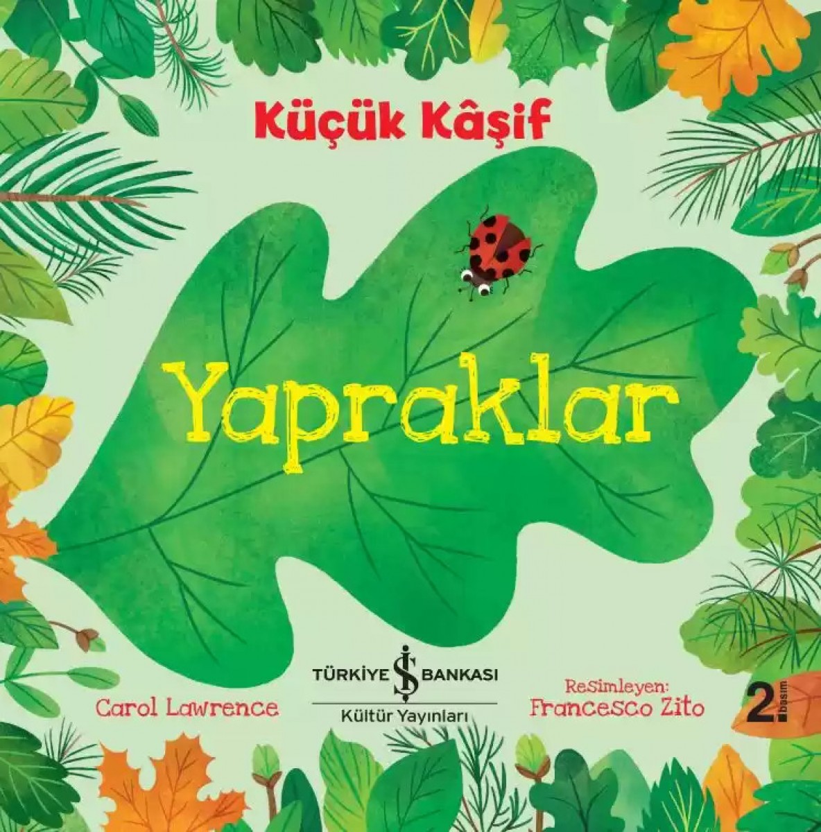 Küçük Kâşif - Yapraklar