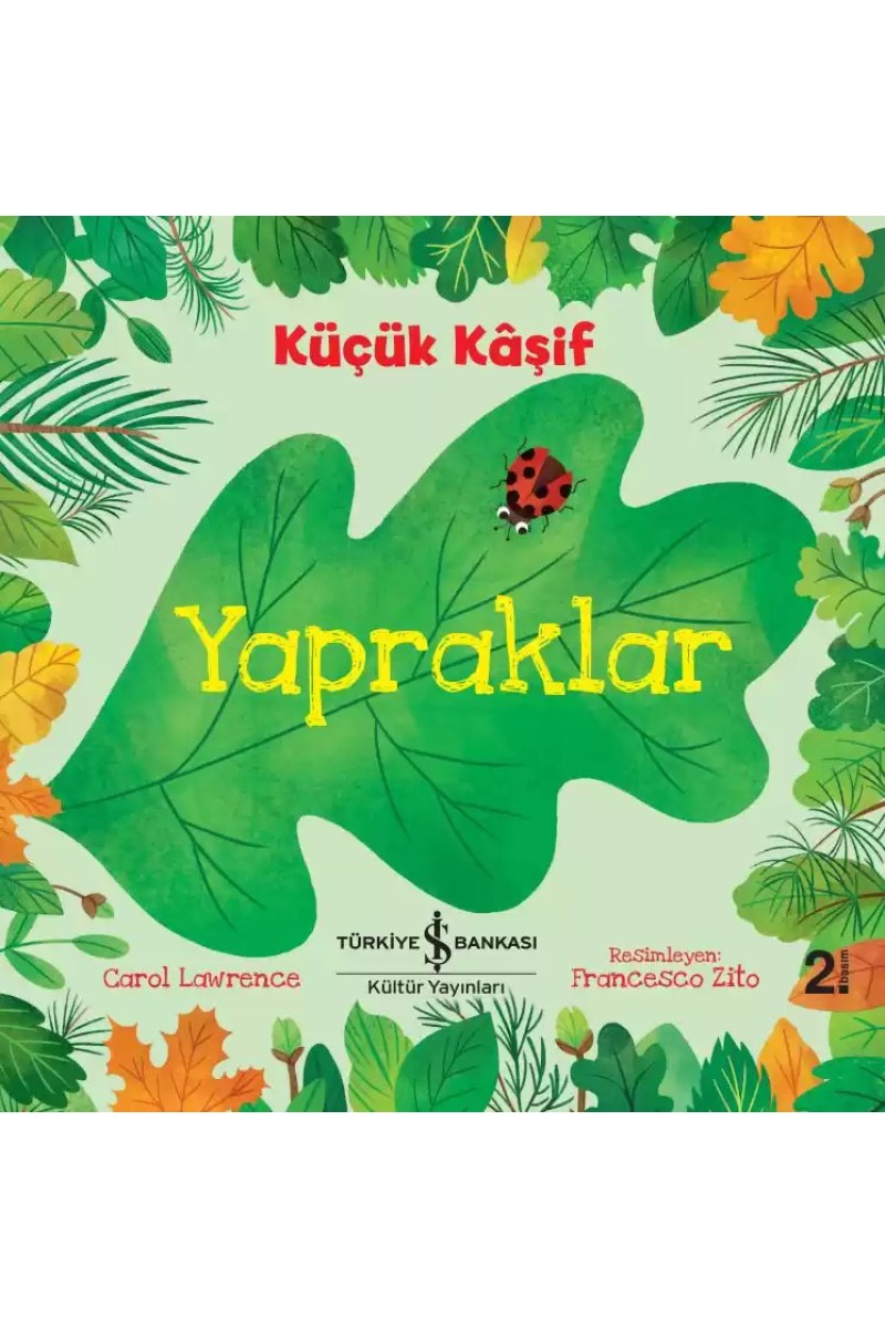 Küçük Kâşif - Yapraklar