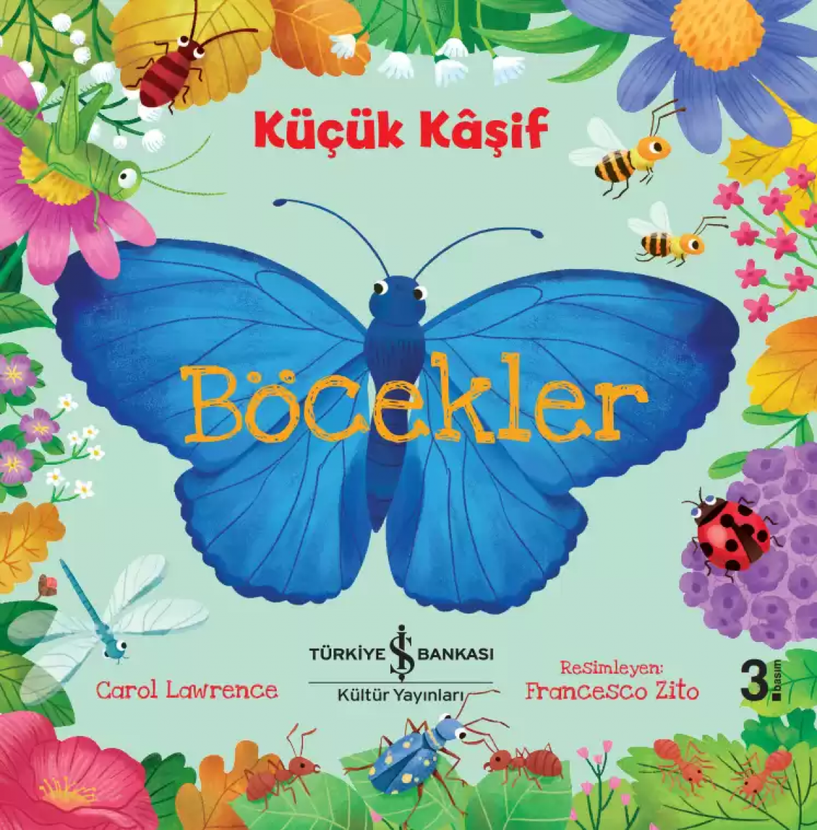 Küçük Kâşif - Böcekler
