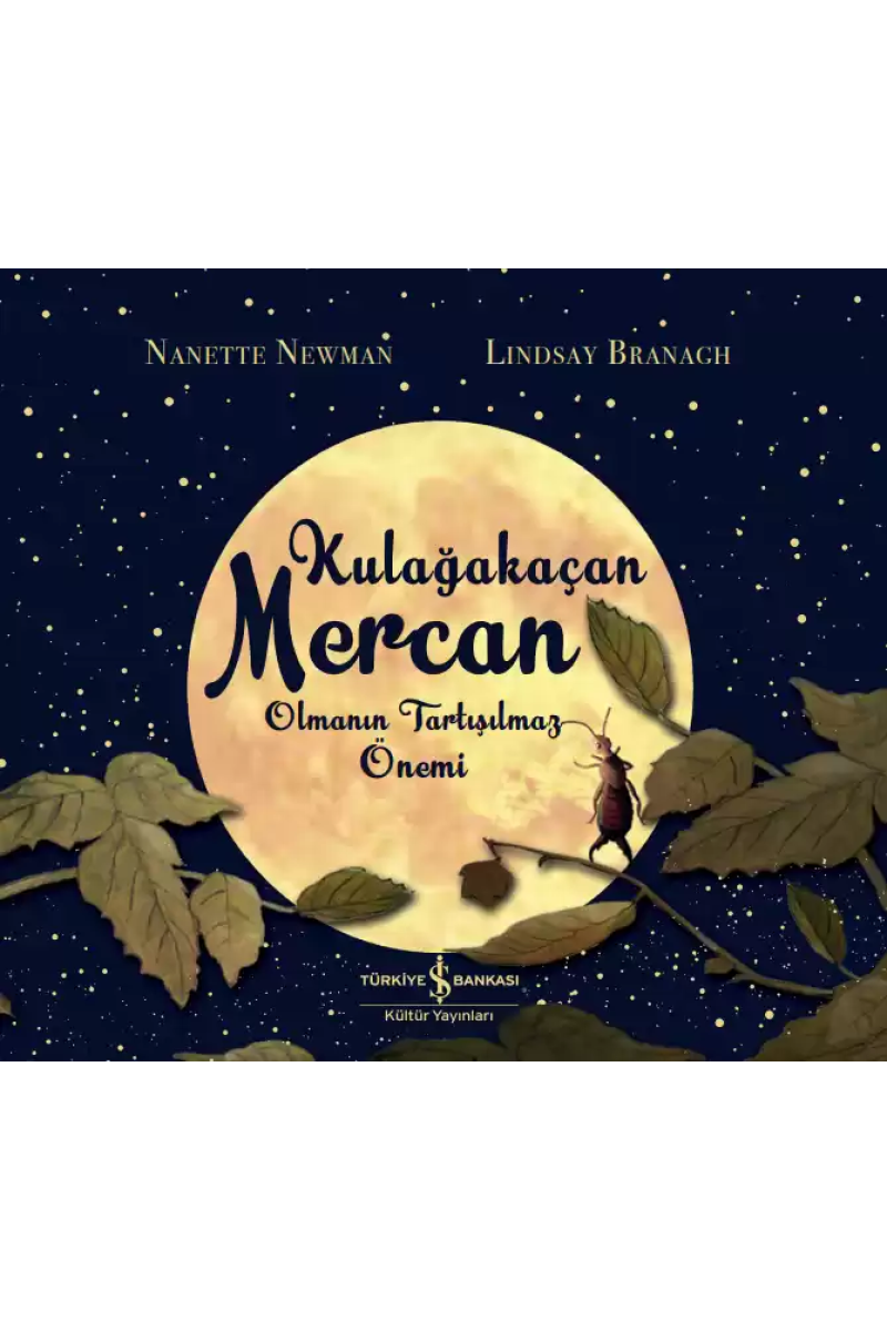 Kulağakaçan Mercan Olmanın Tartışılmaz Önemi