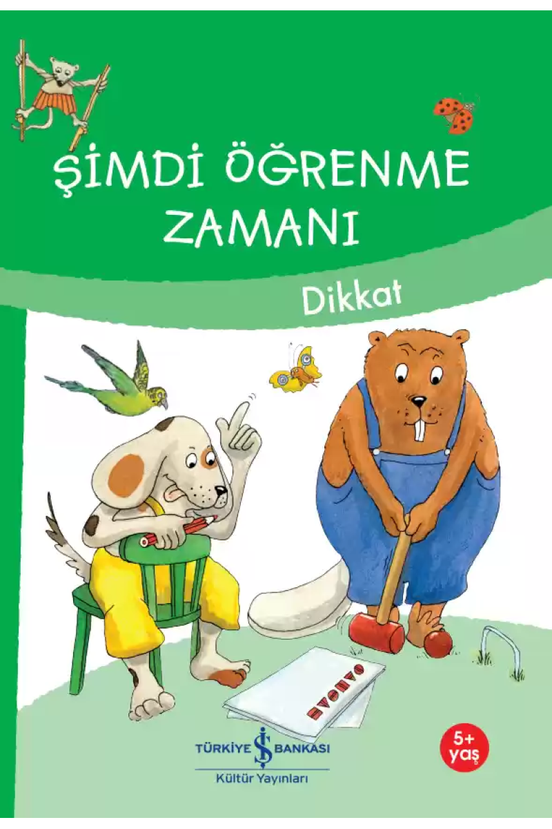 Şimdi Öğrenme Zamanı - Dikkat