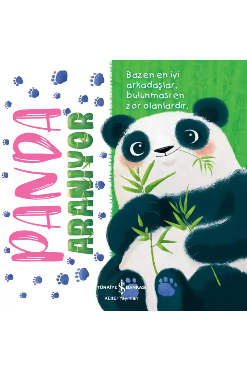 Panda Aranıyor