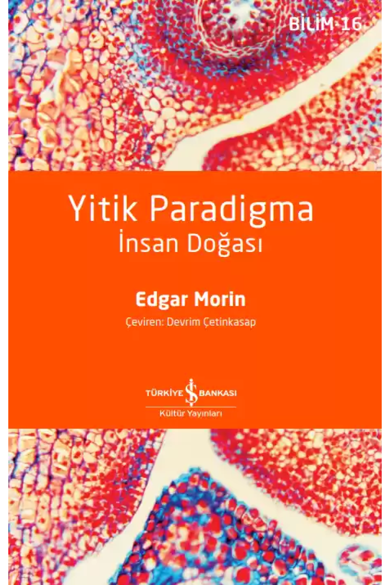 Yitik Paradigma – İnsan Doğası