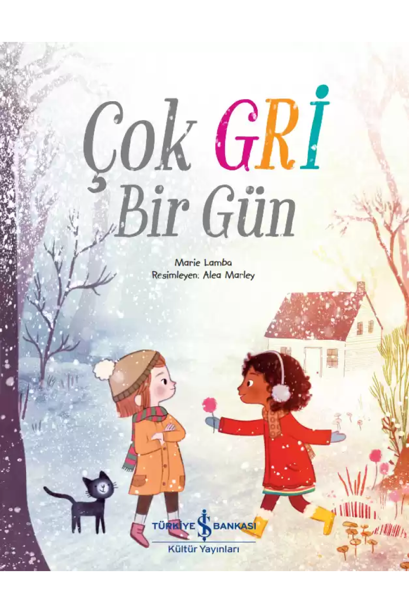 Çok Gri Bir Gün