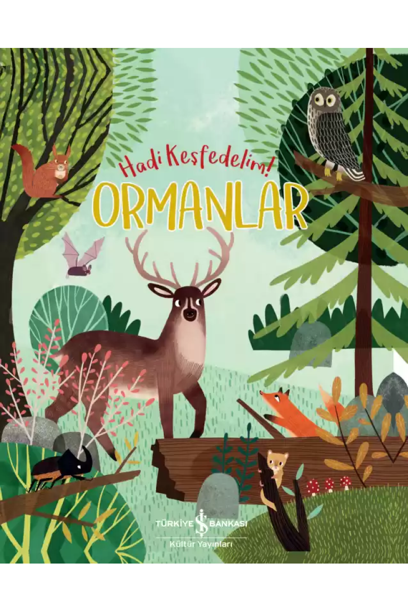 Ormanlar – Hadi Keşfedelim!