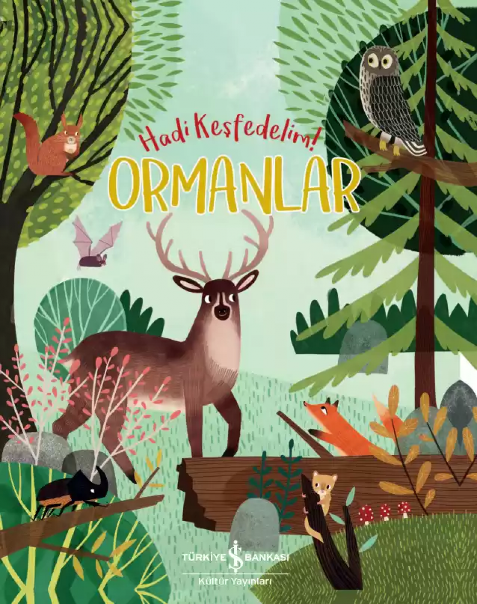 Ormanlar – Hadi Keşfedelim!