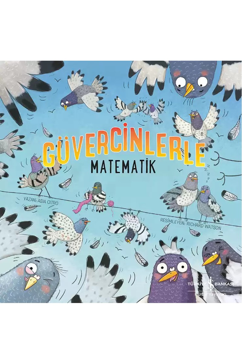 Güvercinlerle Matematik