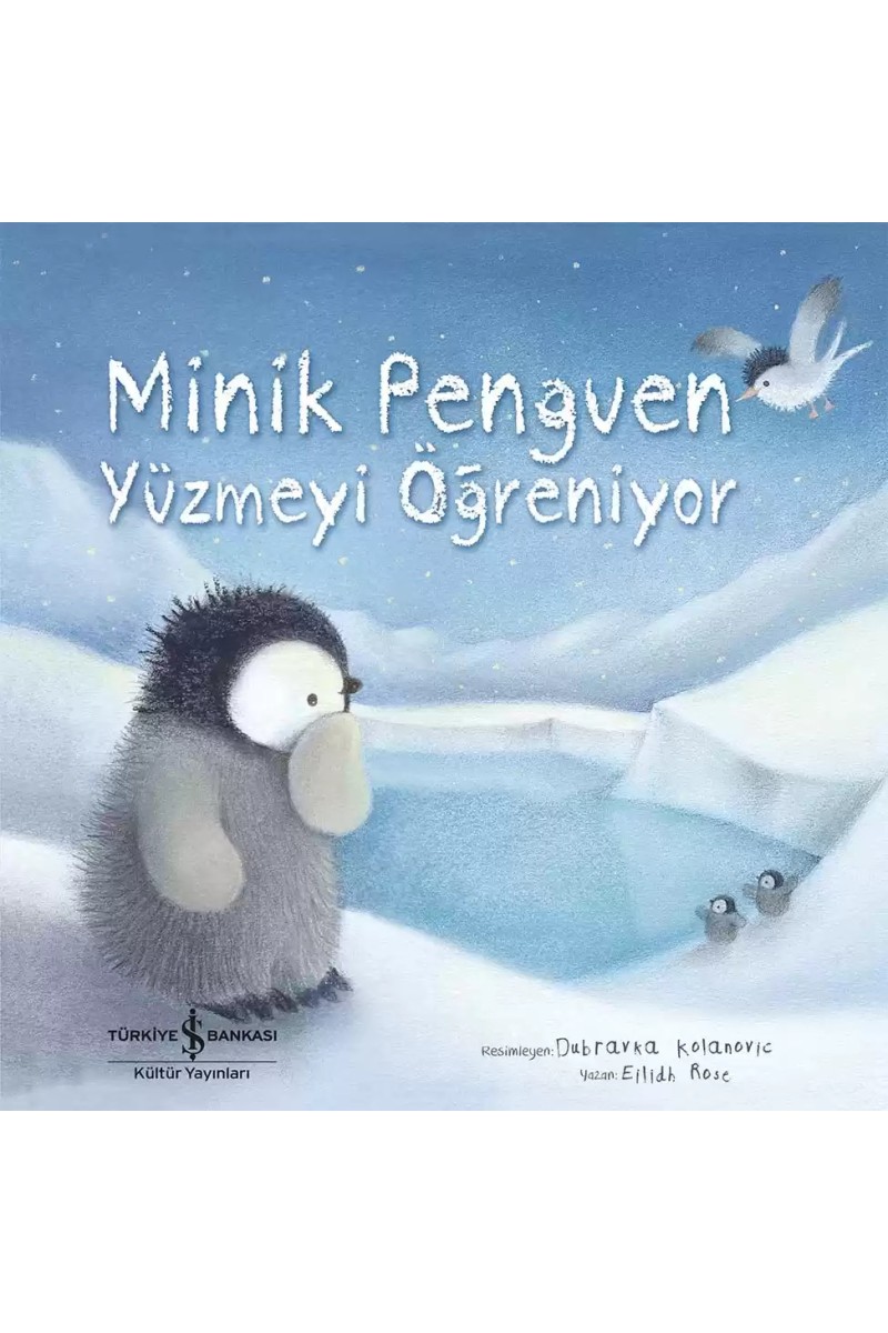 Minik Penguen Yüzmeyi Öğreniyor
