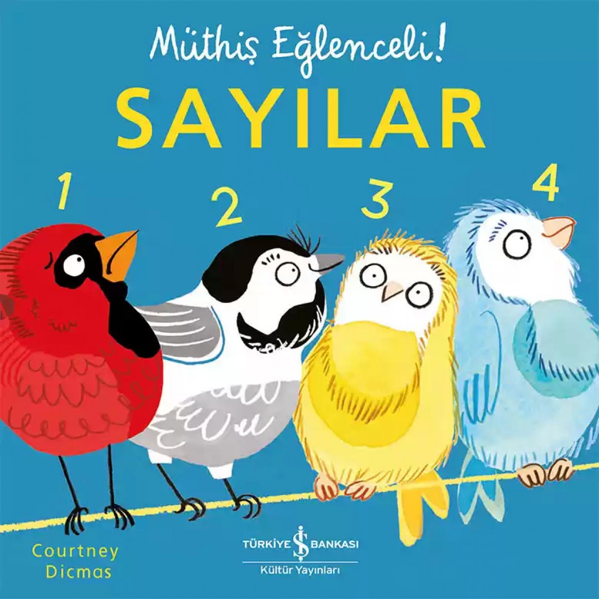 Sayılar – Müthiş Eğlenceli!
