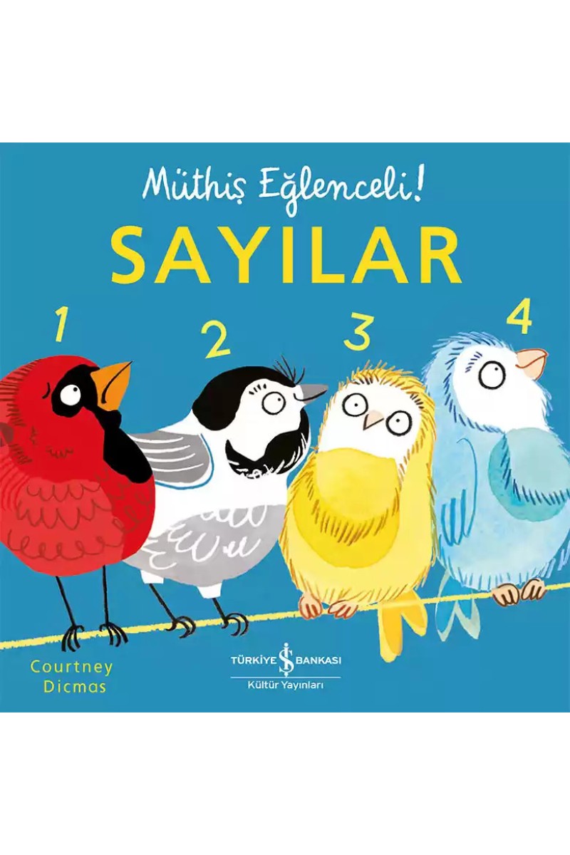 Sayılar – Müthiş Eğlenceli!