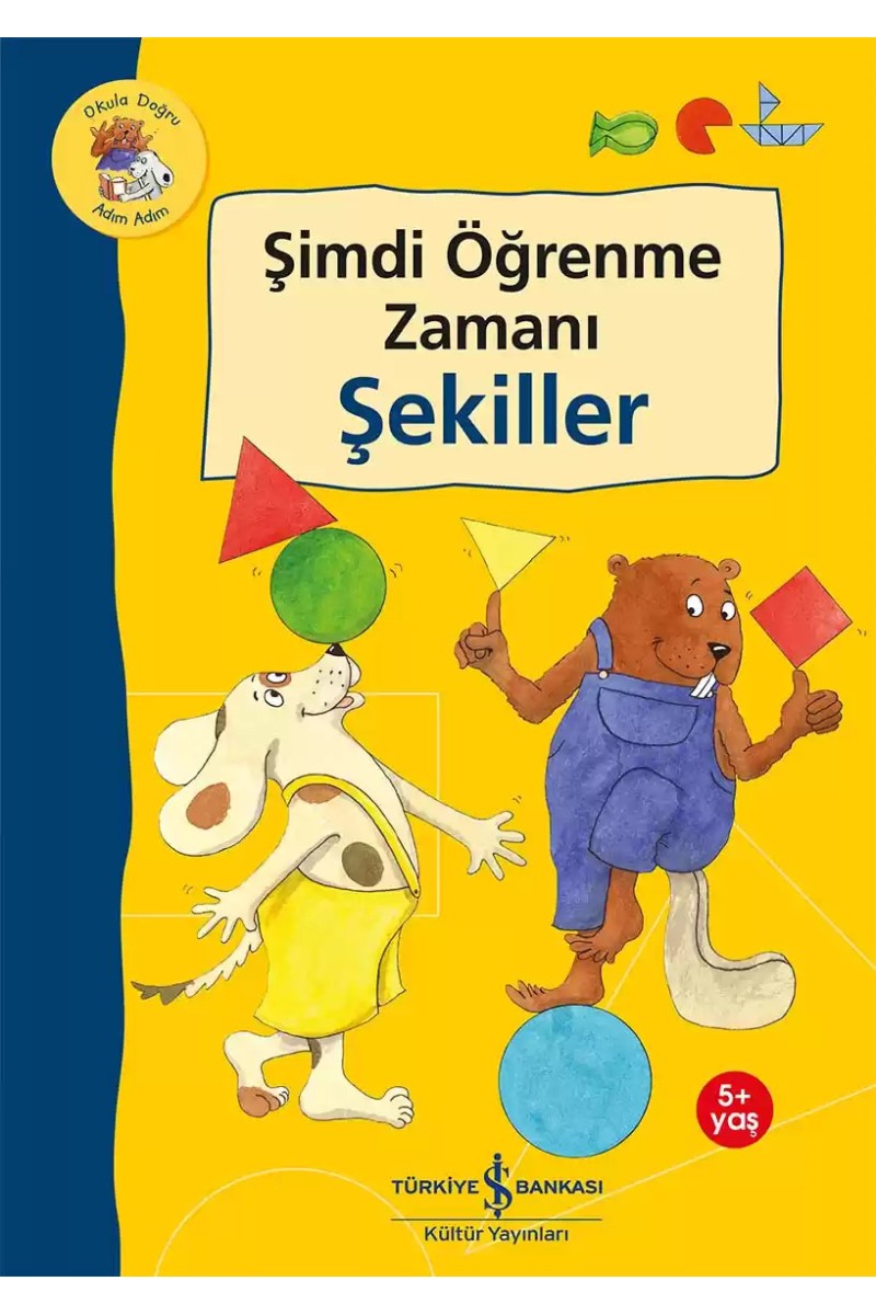 Şimdi Öğrenme Zamanı - Şekiller