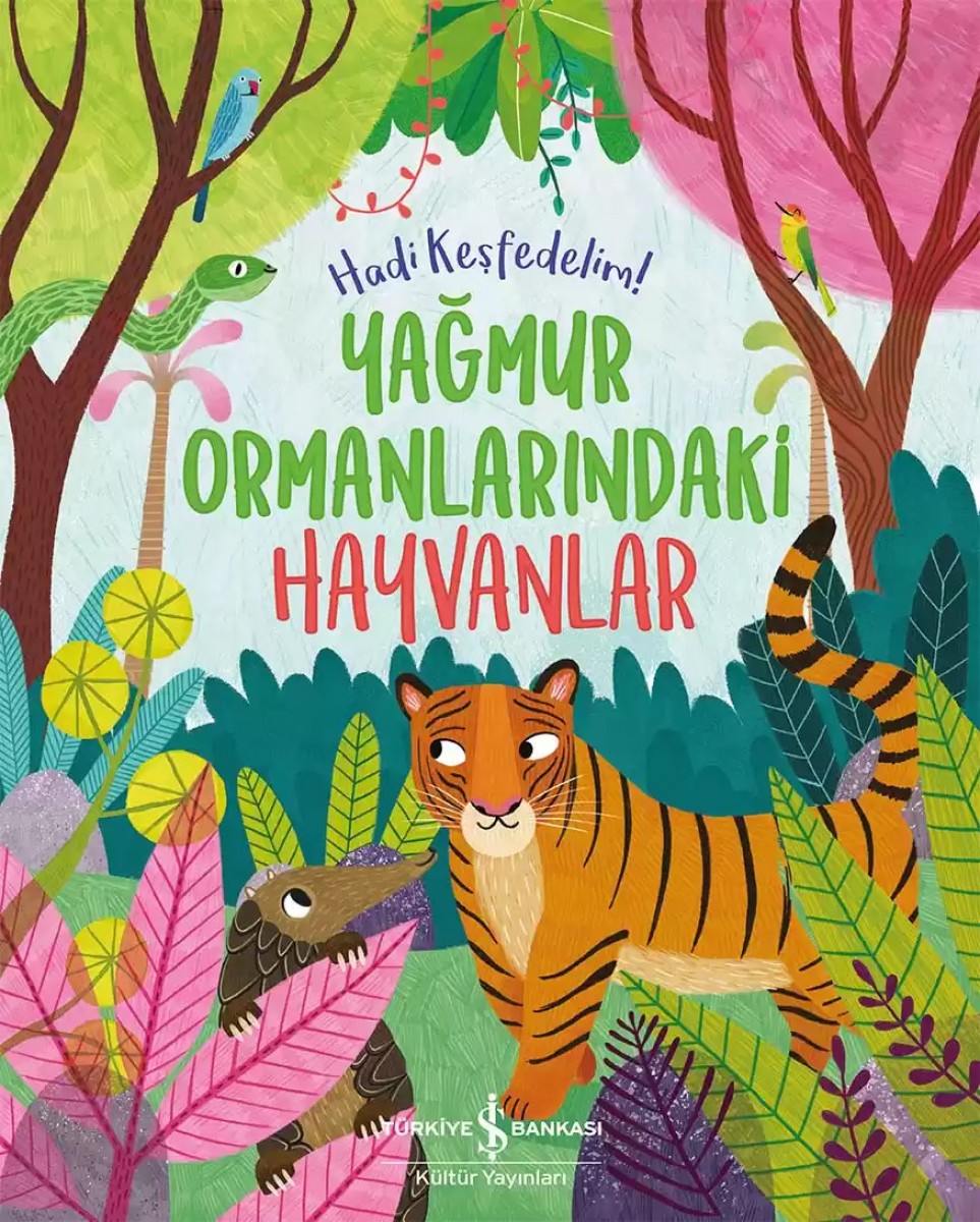 Yağmur Ormanlarındaki Hayvanlar – Hadi Keşfedelim!