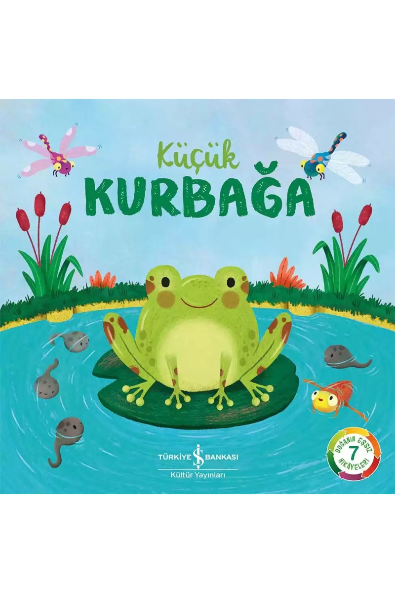 Küçük Kurbağa