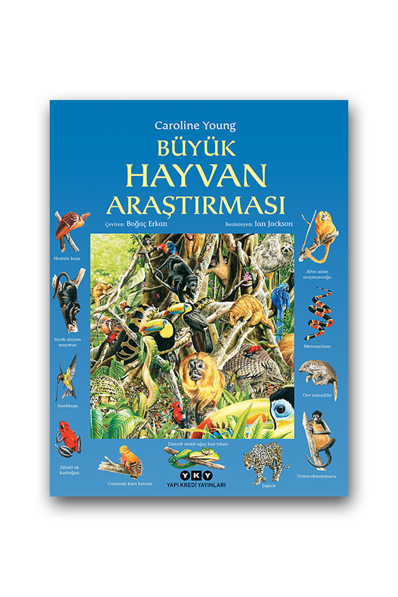 BÜYÜK HAYVAN ARAŞTIRMASI